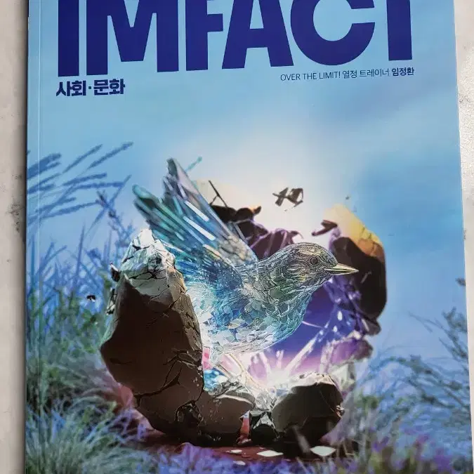 2025임정환T임팩트(Impact)-<사회문화>