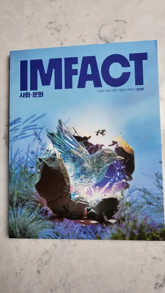 2025임정환T임팩트(Impact)-<사회문화>