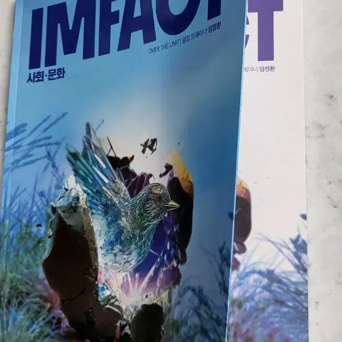 2025임정환T임팩트(Impact)-<사회문화>