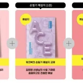 31일 마감 김태영 ACE 개념완성 급처