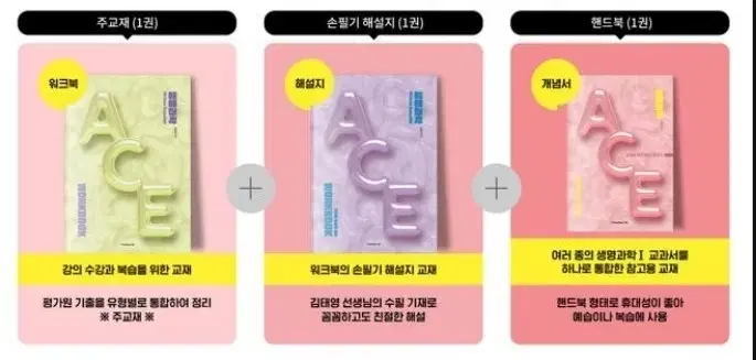 31일 마감 김태영 ACE 개념완성 급처