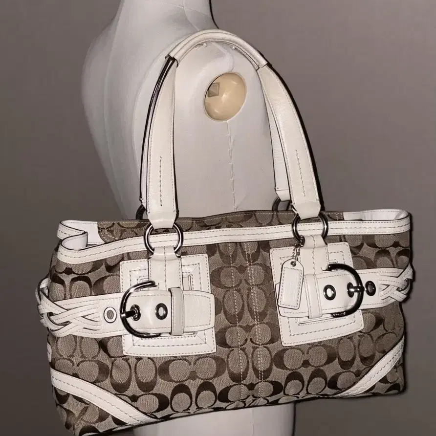 Coach Classic Pattern Vintage Bag