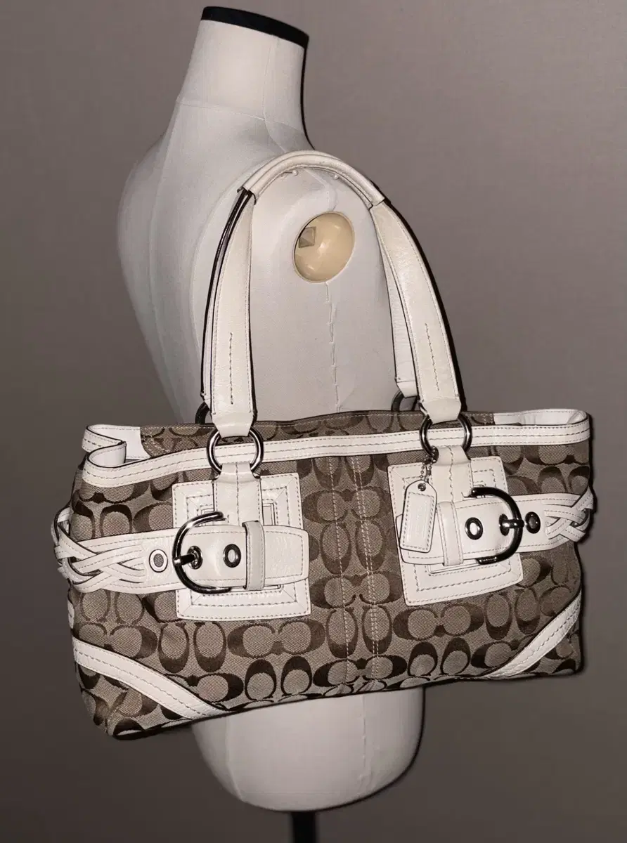 Coach Classic Pattern Vintage Bag