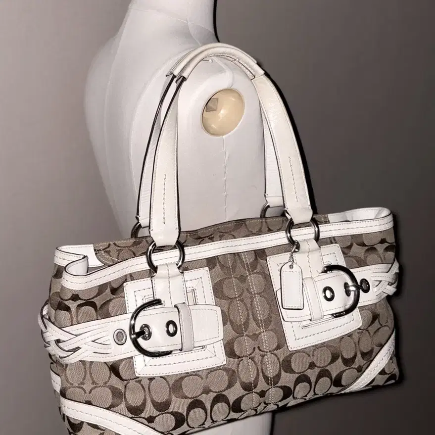 Coach Classic Pattern Vintage Bag