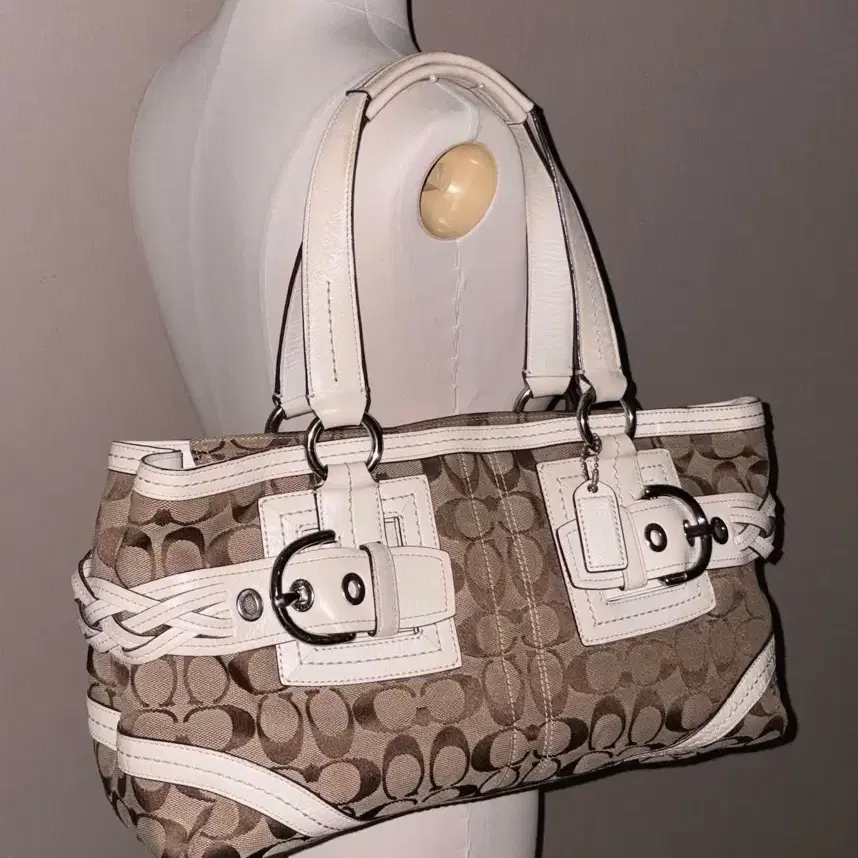 Coach Classic Pattern Vintage Bag