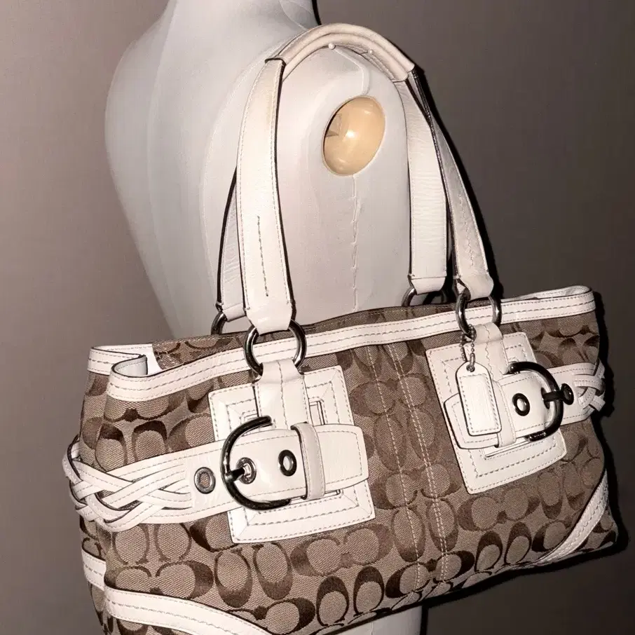 Coach Classic Pattern Vintage Bag