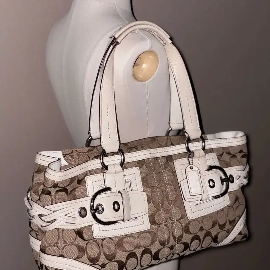 Coach Classic Pattern Vintage Bag