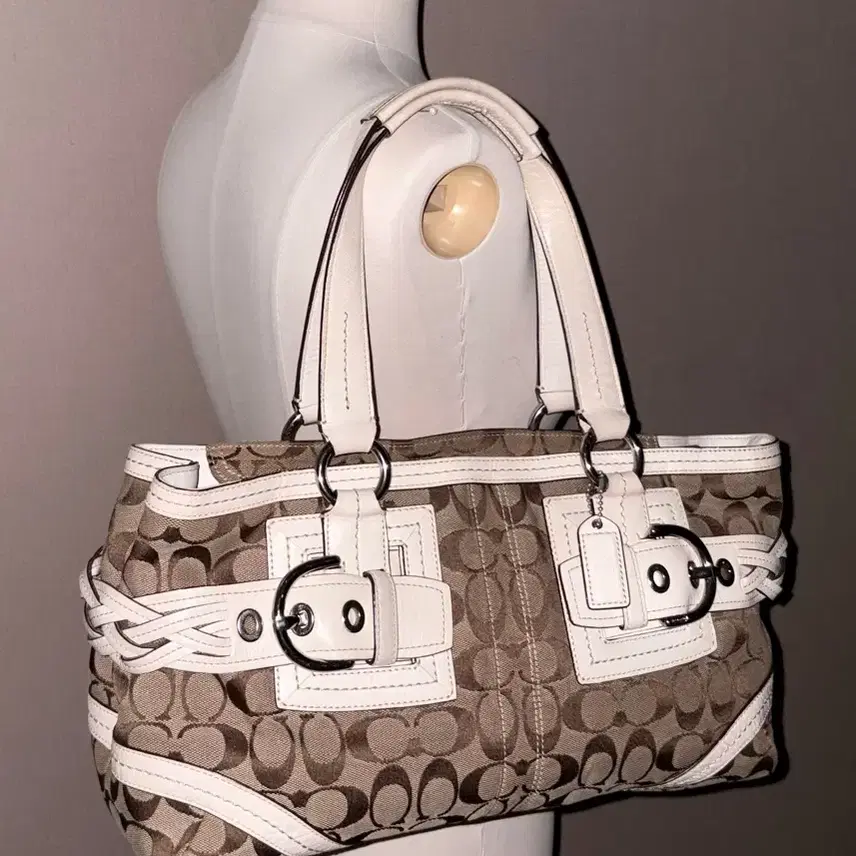 Coach Classic Pattern Vintage Bag