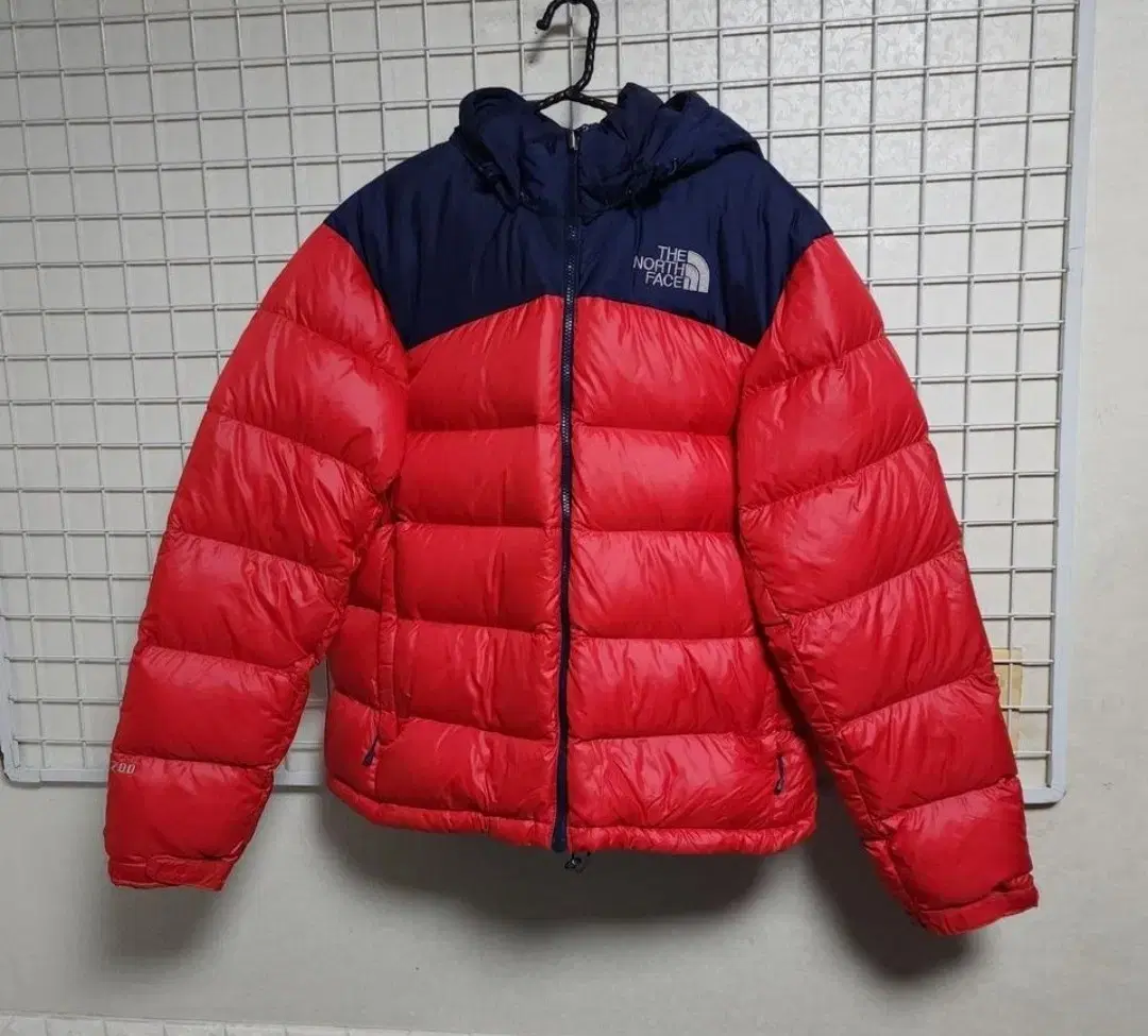 (New clothes level) North Face Nupsee Goose (700)