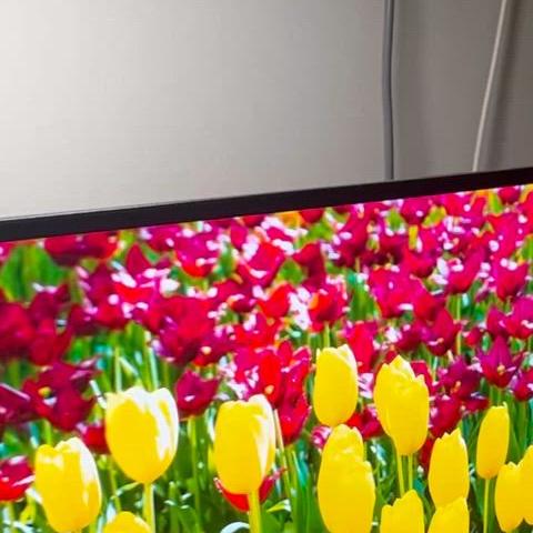 PG27AQDM OLED 27인치 240hz 게이밍 모니터