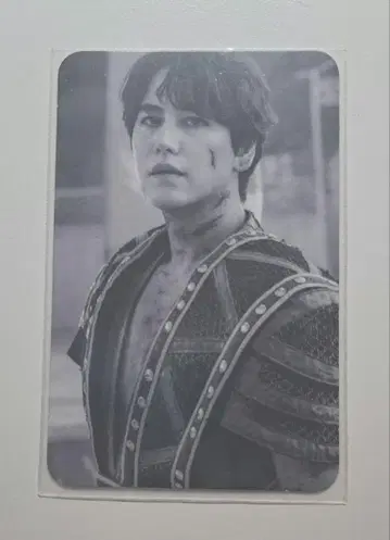 규현 벤하 트레이딩 카드