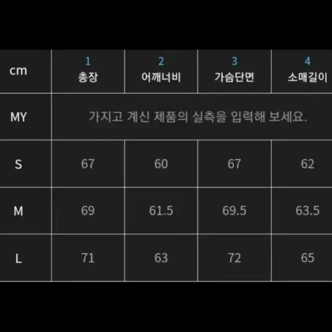 인사일런스 포켓 구스다운 S 숏패딩