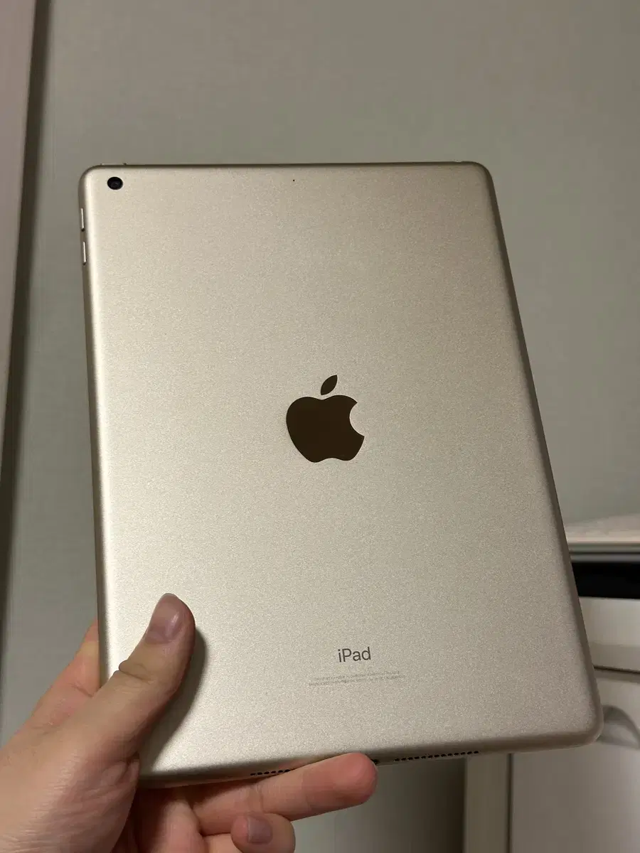 iPad 5th generation, in like-new condition (delivery conditions)