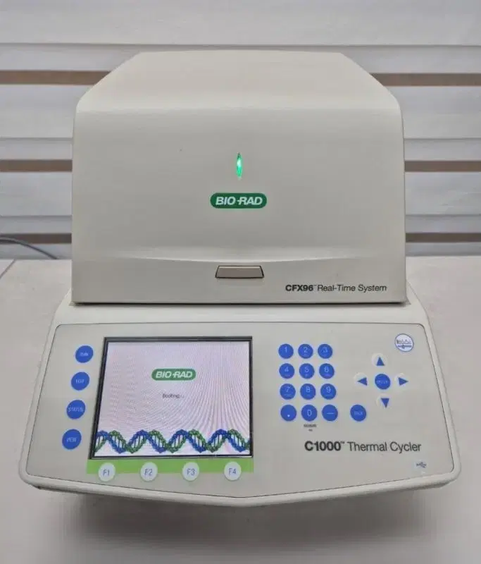 BIO RAD CFX96 Real Time System 리얼 타임 PCR