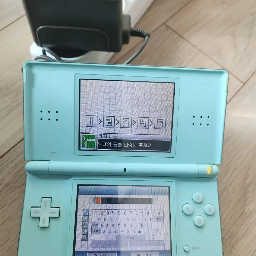 닌텐도 DS lite (칩 2개, 충전기, 펜 포함, 상태 좋음)