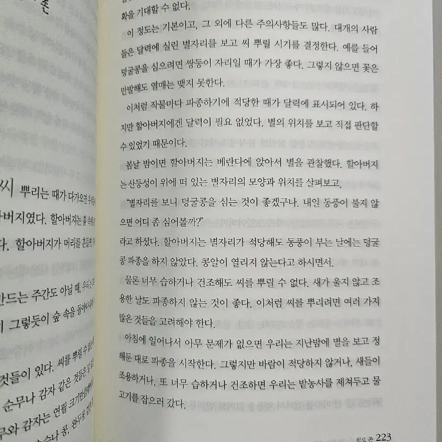 내 영혼이 따뜻했던 날들