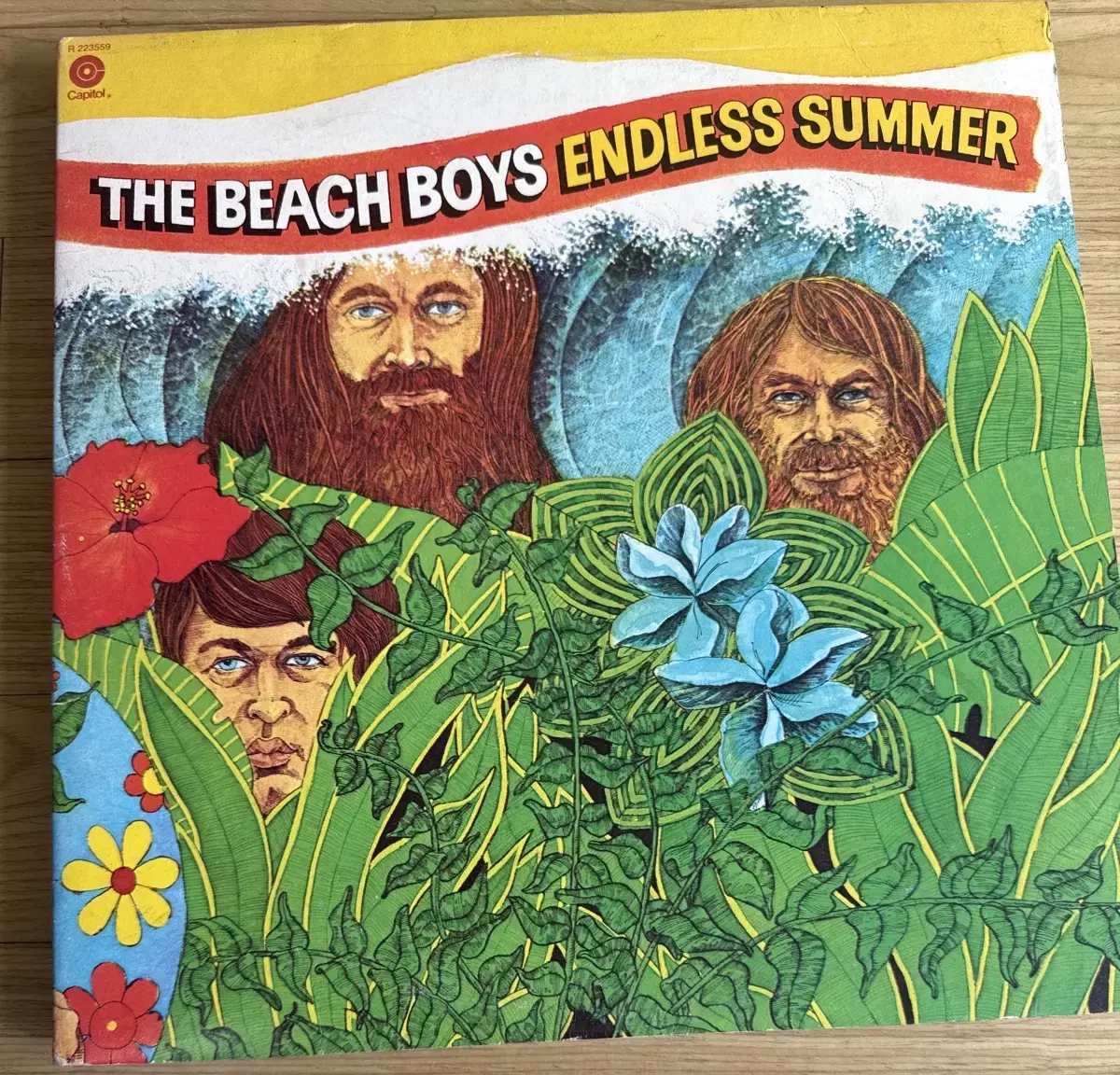 The Beach Boys - Endless Summer LP