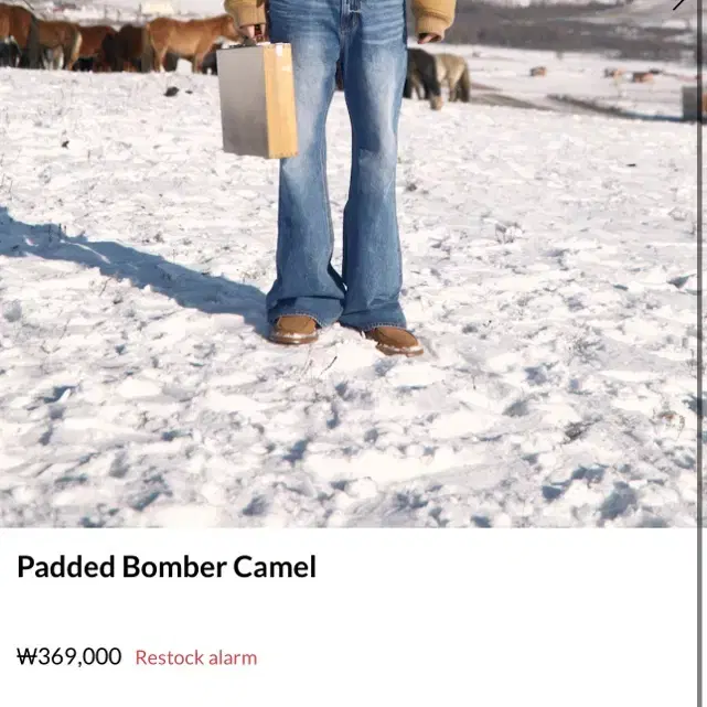 Stu Padded Bomber Camel