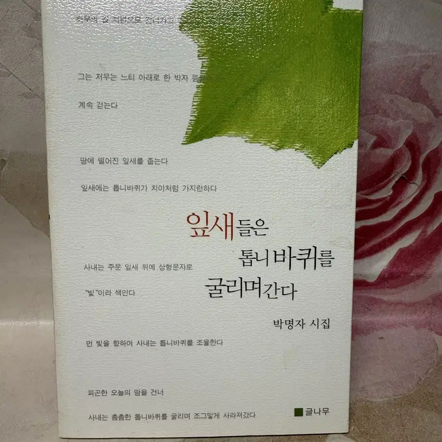 잎새들은 톱니바퀴를 굴리며간다,박명자시집 2006년초판