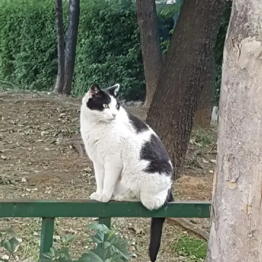 얼굴만으론 좋아 할 수 없어요1~5권