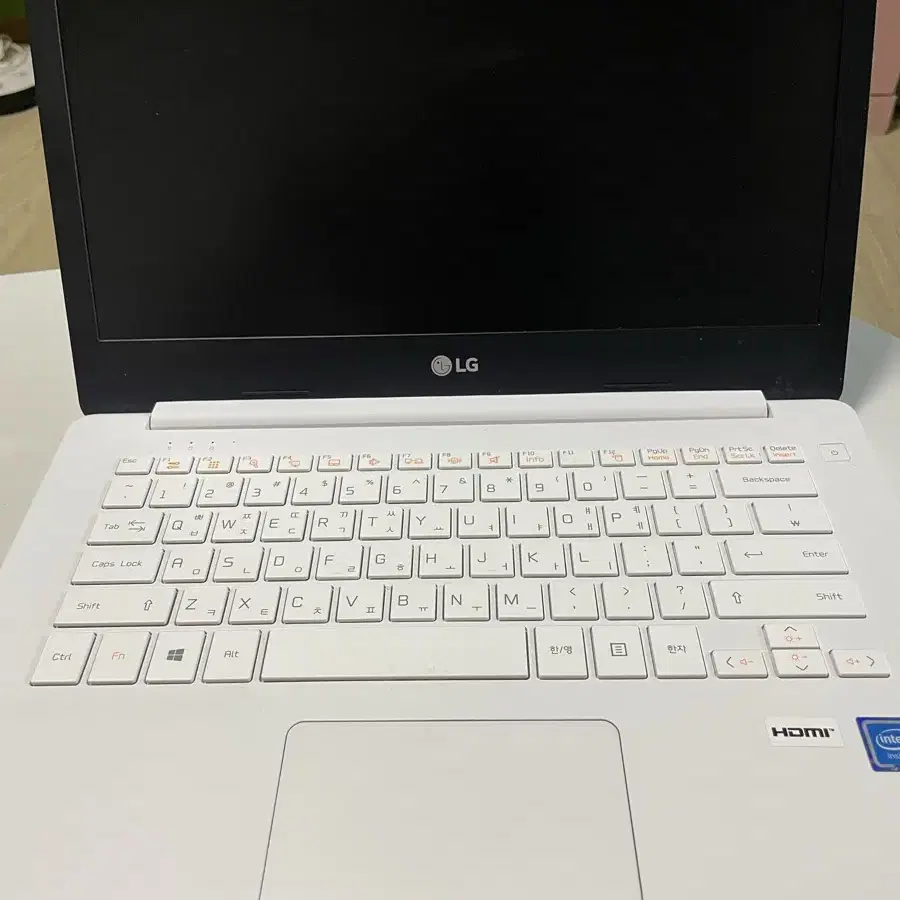 Lg 울트라 pc 14인치