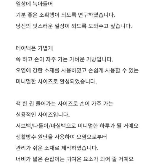 데이리움 데이백 쇼퍼백 가방