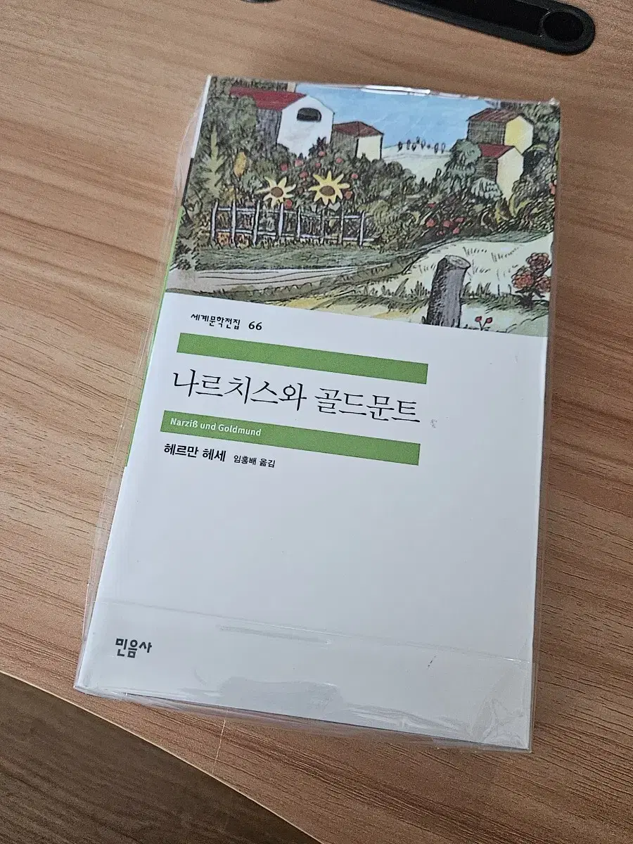 민음사 세계문학 전집 66 헤르만 헤세 나르치스와 골드문트