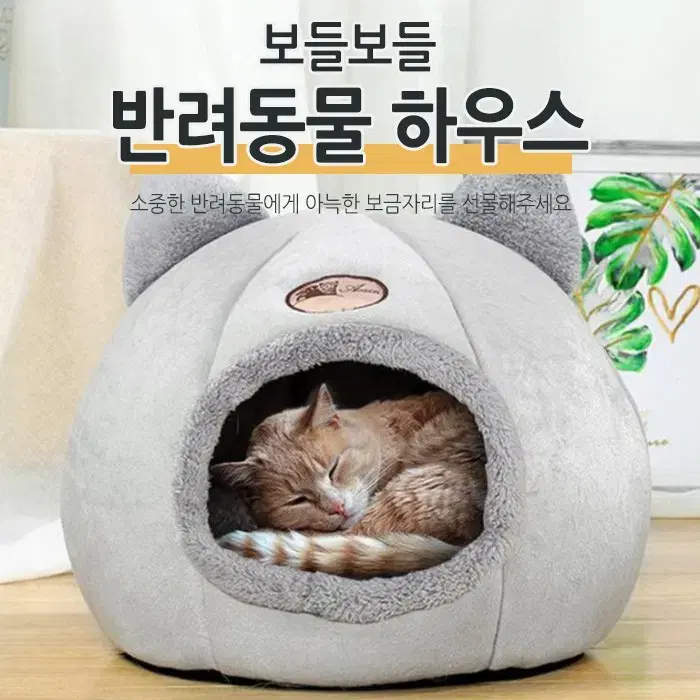 고양이 애견 하우스