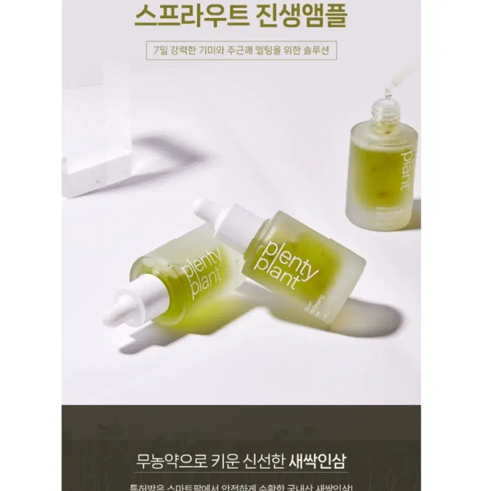 (새상품) 플렌티 플렌트 멜팅리프 스프라우트 진생앰플 30ml