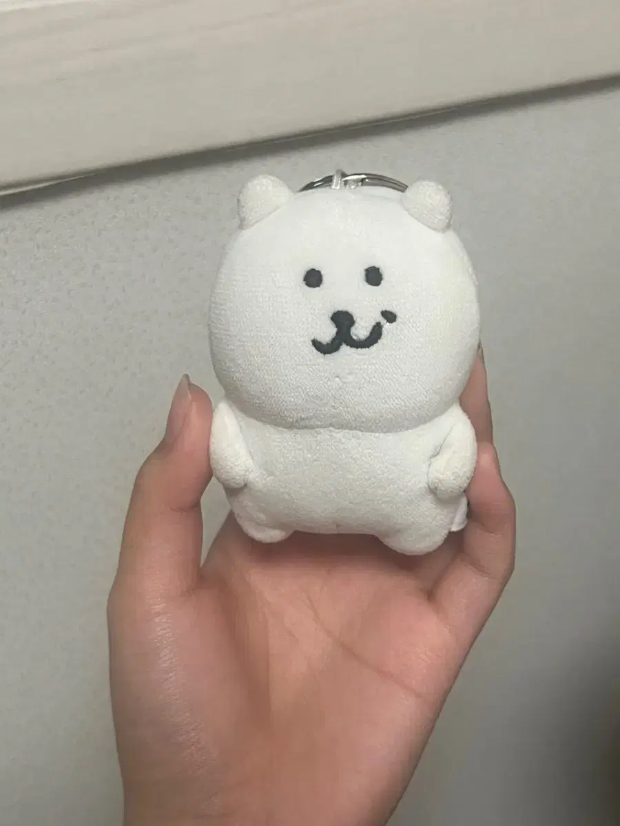 농담곰 판매 양도 합니다