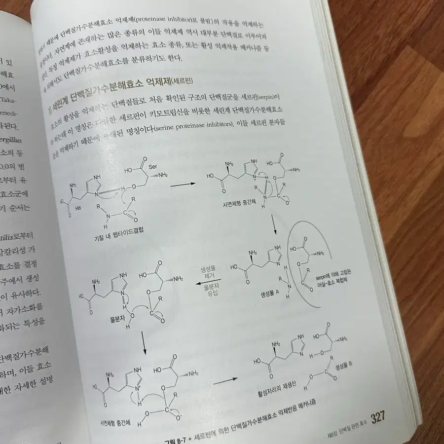 이해하기 쉬운 식품 효소 공학 새상품 택포