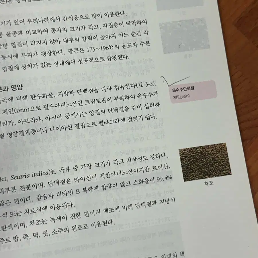 식품과 조리원리 교문사 택포