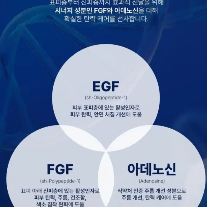 랑벨울트라리프팅EGF앰플