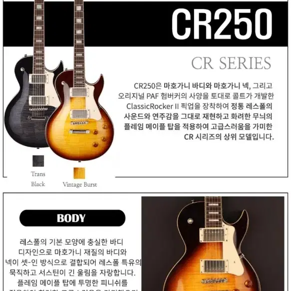 일렉기타(콜트 CR250)