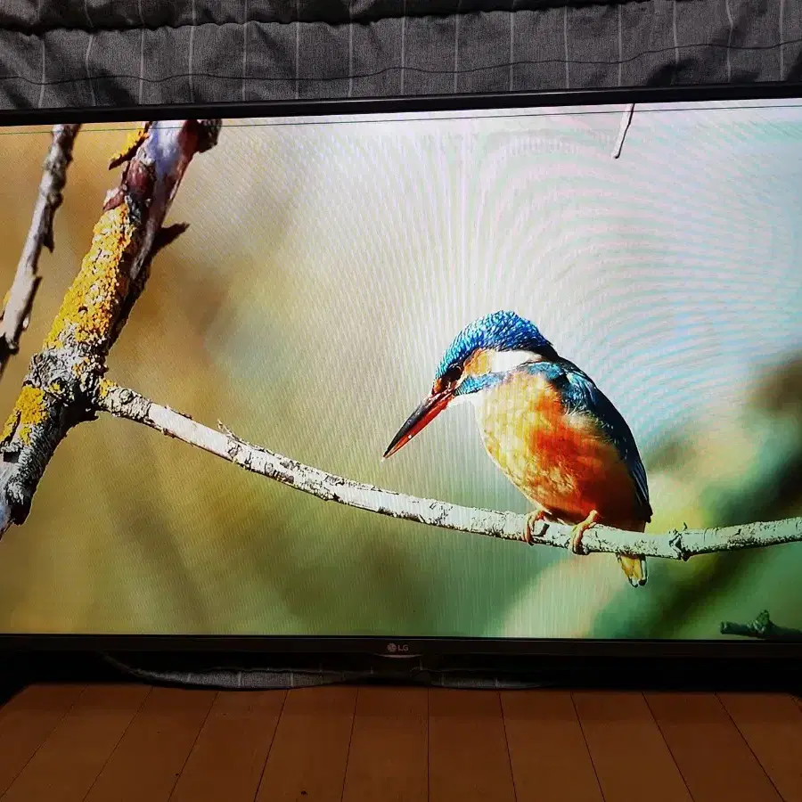 LG 42인치 티비 모니터 LED TV IPS패널 양천구