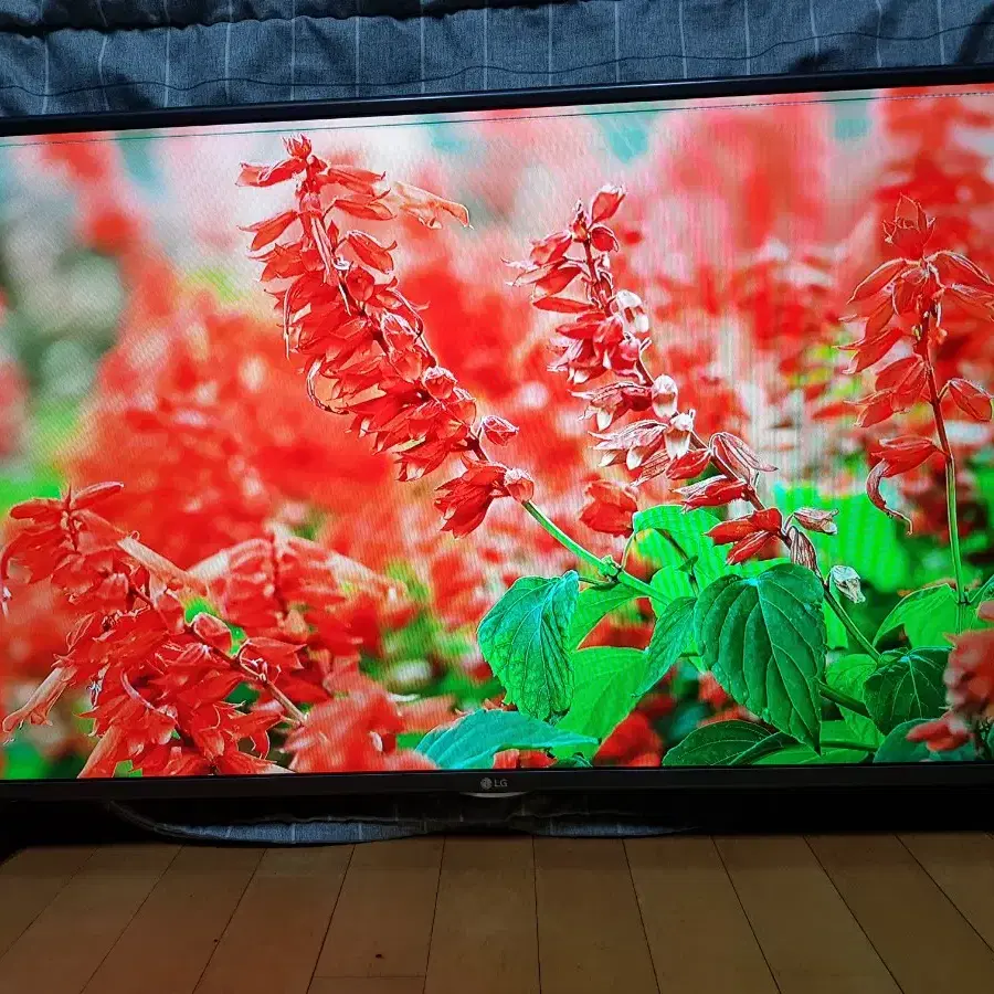 LG 42인치 티비 모니터 LED TV IPS패널 양천구