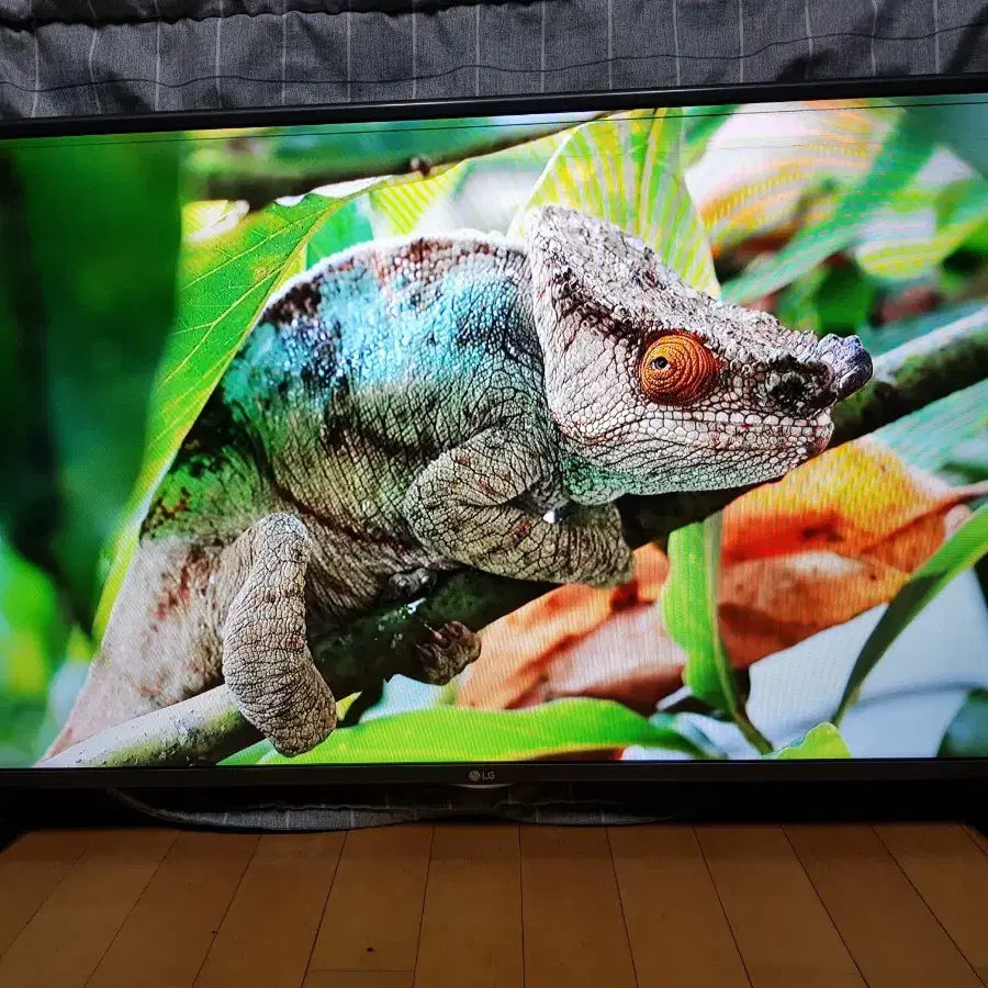 LG 42인치 티비 모니터 LED TV IPS패널 양천구