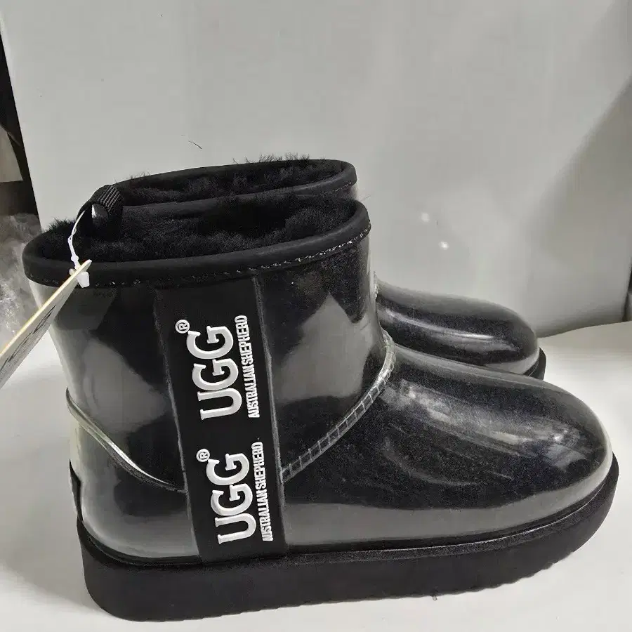 UGG 클리어 어그부츠 37 (240)미사용