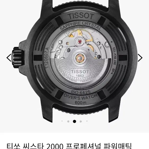 티쏘 씨스타 2000 프로페셔널 파워매틱 80