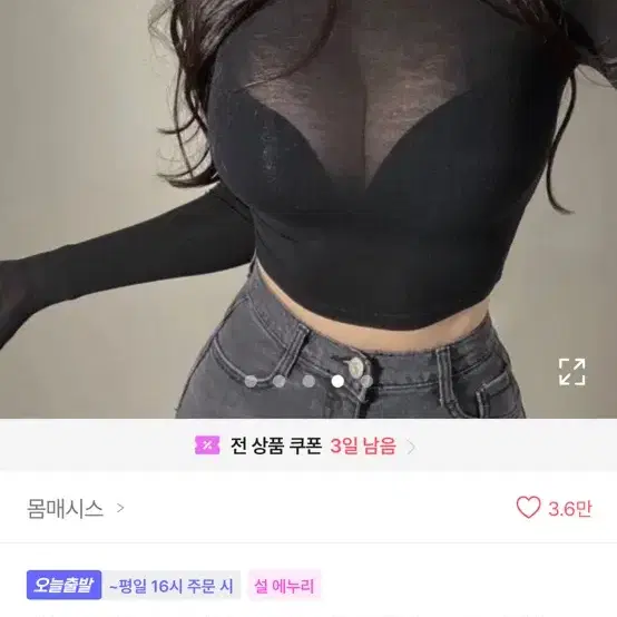 시스루 목폴라 스판 터틀넥 크 롭티