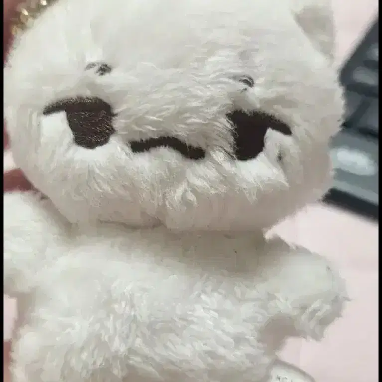 뾰냥이 10cm 양도