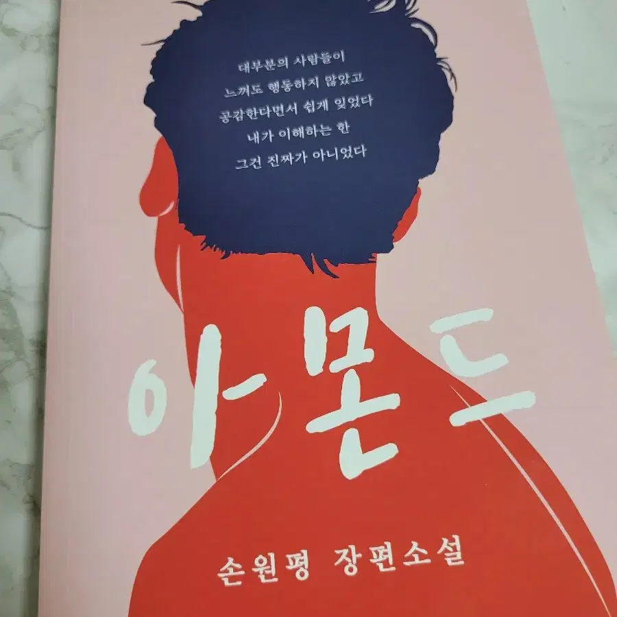 아몬드 책 (손원평) 장편소설