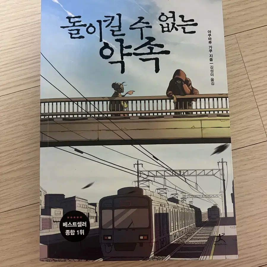 돌이킬 수 없는 약속 책