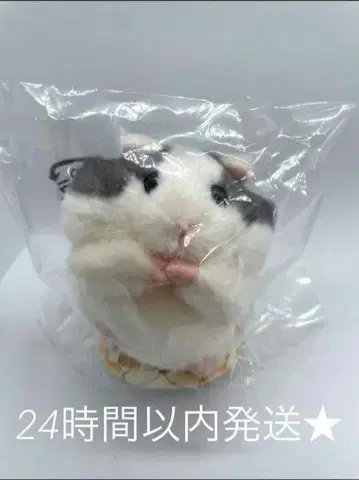 새상품 모고모고 하무스타 ~도미토와상 햄스터 봉제 인형