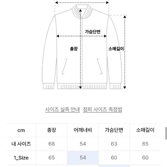 비긴202 Heavy Down Jumper 1사이즈 [Brown]