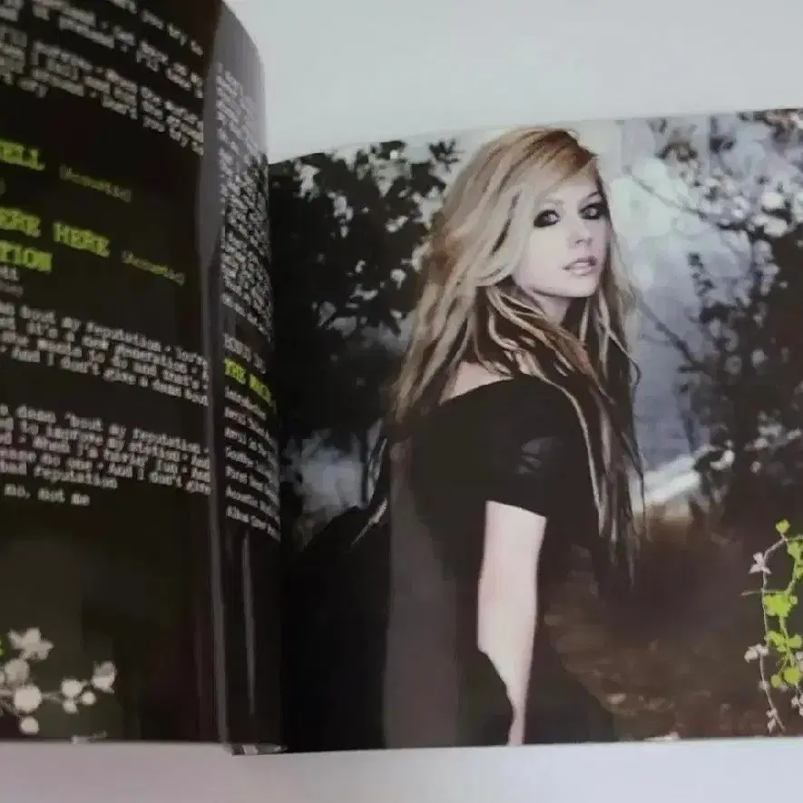 에이브릴 라빈 Goodbye Lullaby CD+DVD 디럭스 앨범 시디