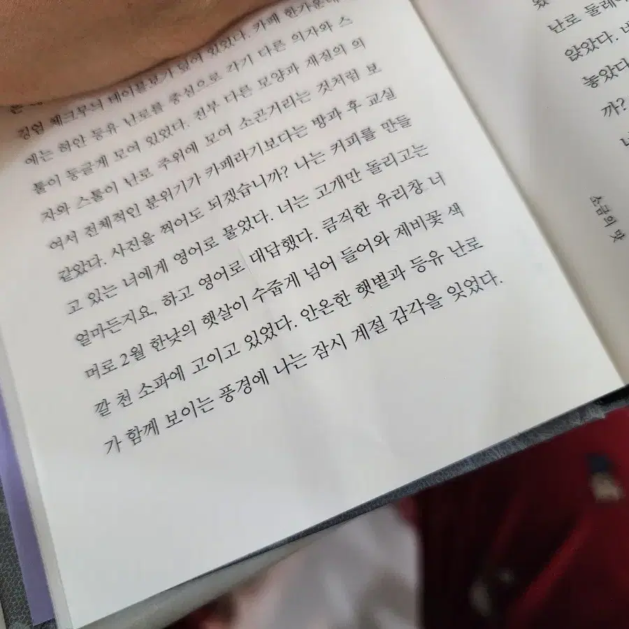 이주혜 계절은짧고 기억은영영, 누의자리