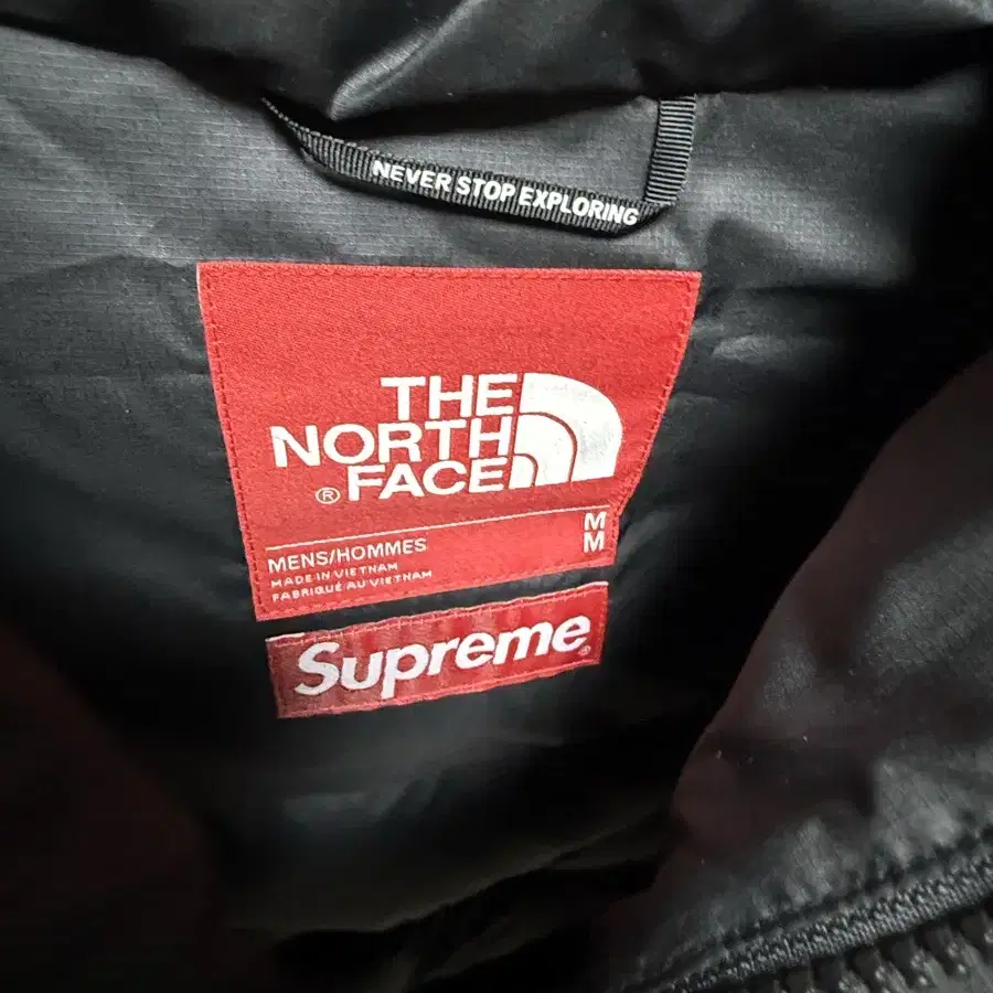 supreme northface 800