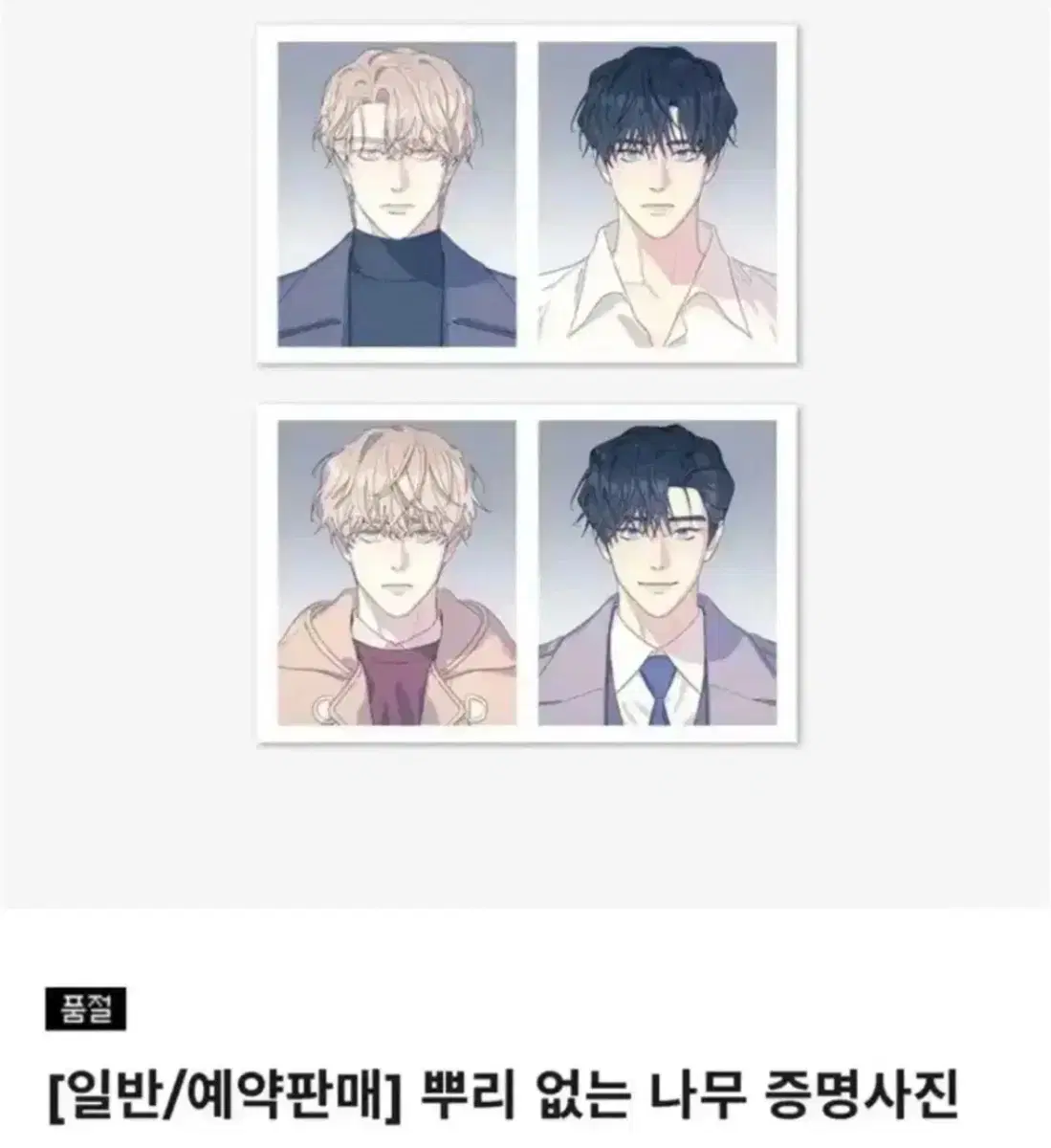 뿌리없는나무 뿌없나 증명사진 증사