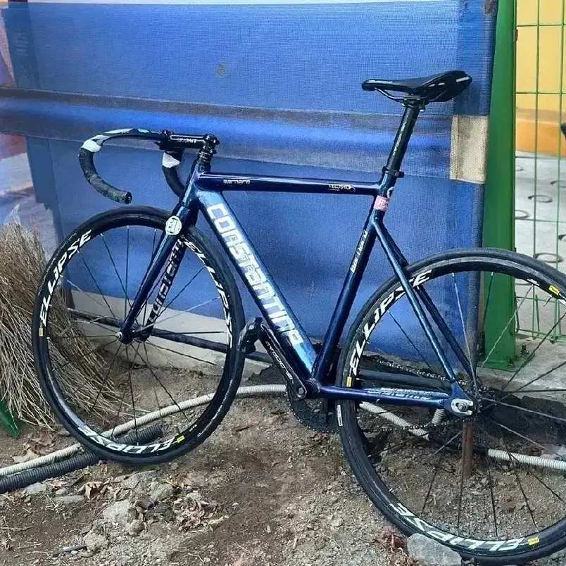 CONSTANTINE 콘스탄틴 Pixie Constantine Bernard 2024 Chameleon